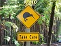 5.54- A la rencontre des kiwis au 'Rainbow springs'